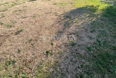 Pula ,Štinjan građevinsko zemljište površine 500m²