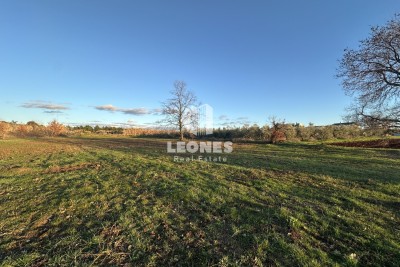 Građevinsko zemljište u Novigradu na odličnoj lokaciji