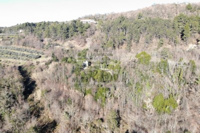 Grande tenuta con case in pietra in rovina vicino a Grisignana