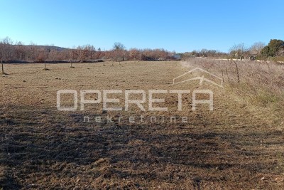 Žminj, Žminj, 3.909,00 m2, 175.900,00 EUR