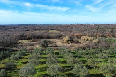 UMAG, OKOLICA, GRAĐEVINSKO ZEMLJIŠTE S PUNO POTENCIJALA
