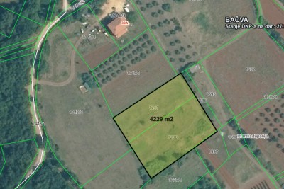 Poljoprivredno zemljiše Pršurići 4229 m2