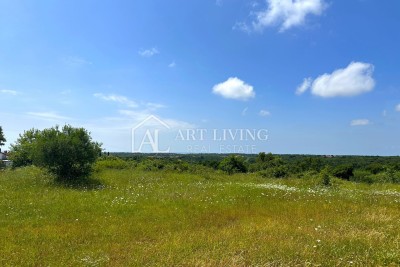 Istra, Umag - okolica, atraktivno građevinsko zemljište s pogledom na more