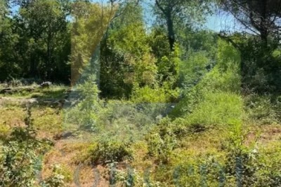 Poreč, Grundstück in attraktiver Lage 700 m vom Meer entfernt