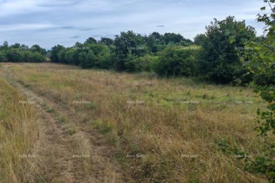 Terreno edificabile di 1.600 m² vicino a Svetvinčenti