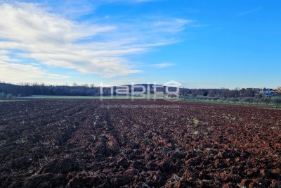 Porec surroundings - Construction land on the edge of the urbanized zone, quiet location