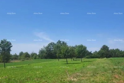 Building land
