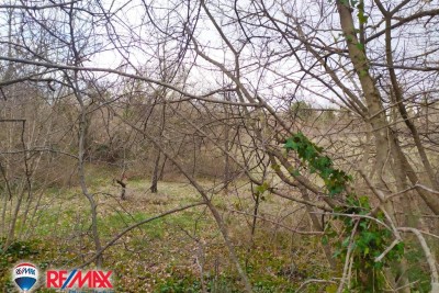 Zemljišče Marčana
