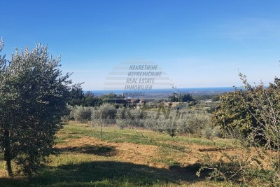 Zemljište u okolici Buja