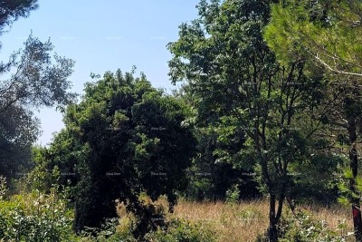 Atraktivna građevinska parcela u Medulinu, naselje Vrčevan