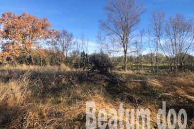 Građevinska parcela  u unutrašnjosti Istre,Buje