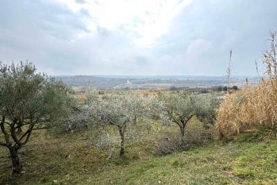 Grundstück Buje, 2.199m2