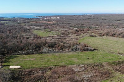 Land in der Nähe von Novigrad