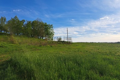 Poreč, 35.000m2 agricultural land, 2 km from the sea