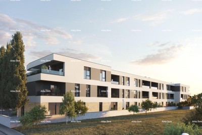 Appartement Pula