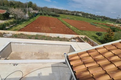 Elegant villa in a peaceful setting near the sea with views of vineyards and olive groves.