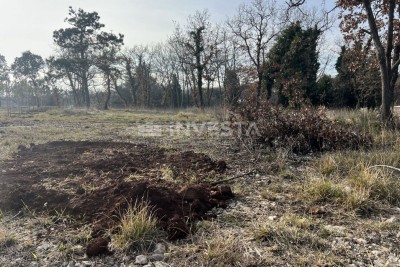 Terreno edificabile in una zona tranquilla