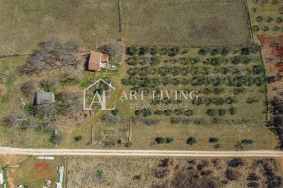 Novigrad surroundings - attractive land in a TOP position in the T3 zone, investment opportunity