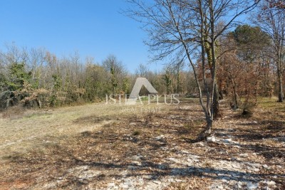 Terreno San Lorenzo del Pasenatico