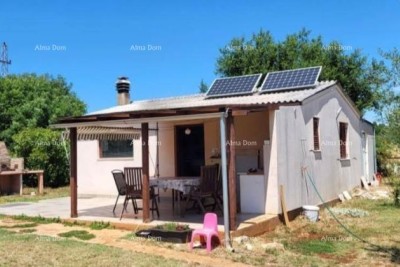 Marčana – Kuća s maslinikom na velikoj particeli od skoro  1. hektara.