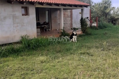 House for completion with several residential units and a spacious garden