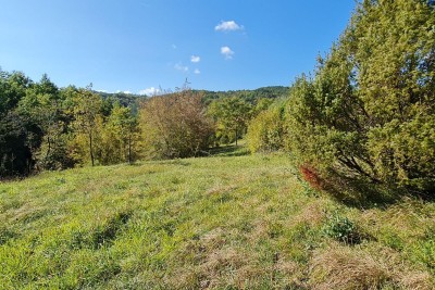 Haus Boljun, Lupoglav, 41.362m2