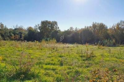 Terreno agricolo di 21.000 m² – Istria