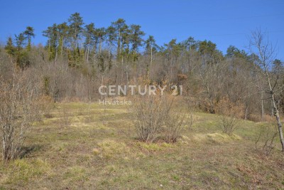 Prodaja, Zemljište, Građevinsko, Istarska županija, Motovun