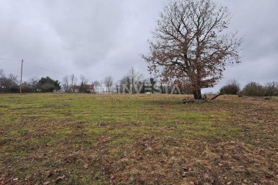 Žminj, construction land 1000 m², build your home