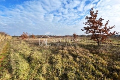 Umag-surroundings, Building land in an attractive location, 1,566 m2
