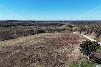 Buje, Buje, 1.036,00 m2, 227.920,00 EUR