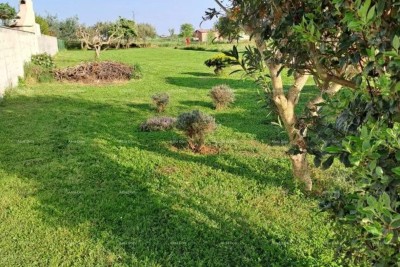 Bouwgrond