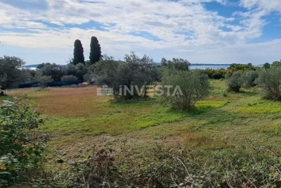 Fažana, olive grove with sea view, 300 m from the beach