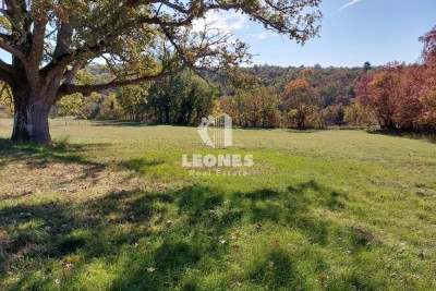 Građevinsko zemljište u okolici Buja - Marušići