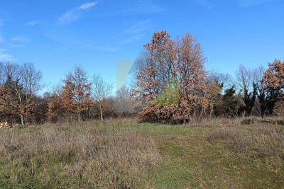 Poreč, surroundings, Construction Land 543 m2 and Agricultural Land 1527 m2