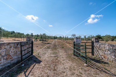 Land Vodnjan