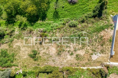 Terreno Buie
