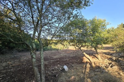 BUILDING LAND OF 1154 M² IN A QUIET LOCATION NEAR VIŠNJAN!