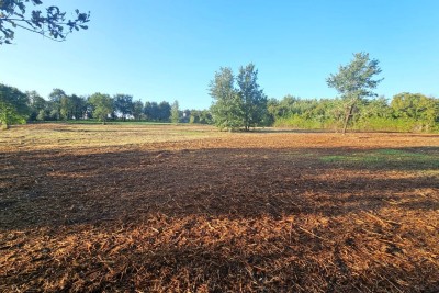 Building Plot 4,200 m² in Tar near Poreč | Quiet Location | Sea View from Upper Floor