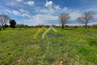 ISTRIA - BALE Ackerland mit Wasser auf dem gleichen