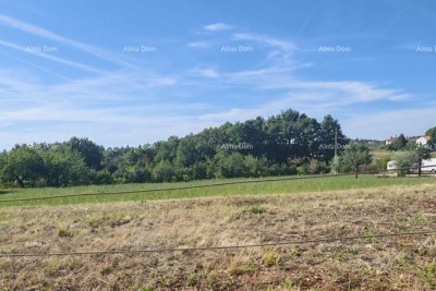 GRAĐEVINSKO ZEMLJIŠTE 2.920 m² U BLIZINI VIŠNJANA