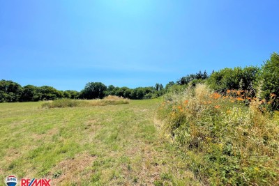 ISTRA, KUJIĆI, OKOLICA, GRAĐEVINSKO ZEMLJIŠTE