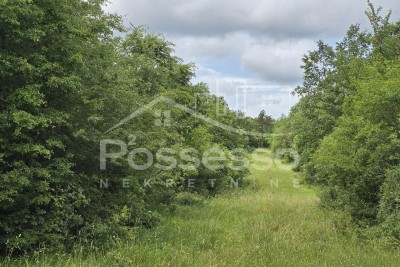 Zemljište Prodaja Roč 11195 m2