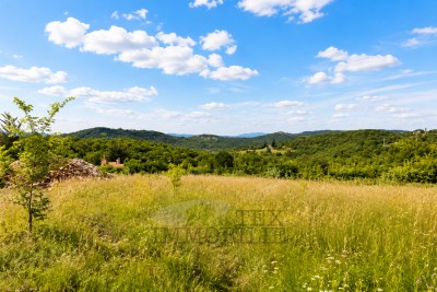 Zemljište sa pogledom na Motovun
