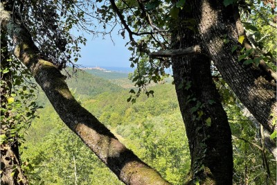 Land Poreč, 2.545m2