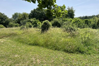Bouwgrond