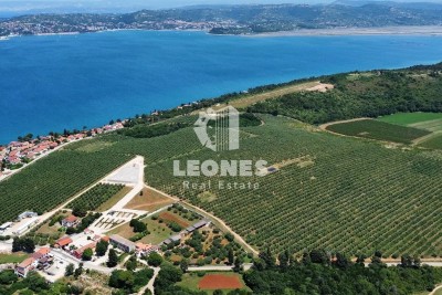 Building land in Savudrija, Crveni vrh