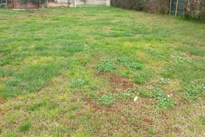 Building land