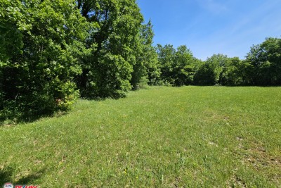 Farmland Labin, 5.000m2