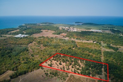 Terreno per weekend vicino al mare vicino a Parenzo